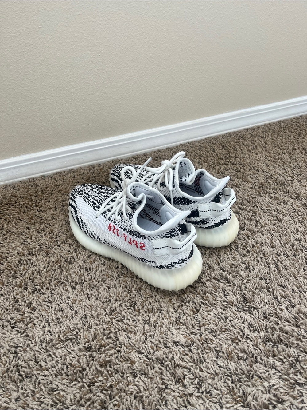 Zebra Yeezy - Picture 2 of 4